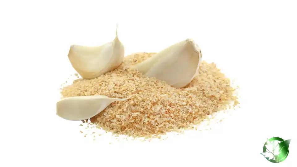 Bulk Garlic Powder | Suppliers | Wholesale | ParsaFood Global